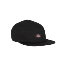 Dickies Albertville Baseball Cap